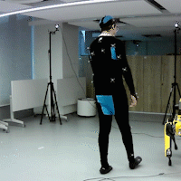 wen2025starskeletal.gif